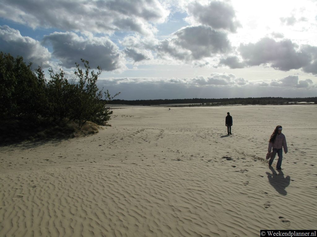 Er is op de Drunense Duinen veel ruimte. Als je iets verder loopt merk je niets van de drukte in de buurt van restaurant Bosch en Duin.  Tips: Handig om bij u te hebben bij een wandeling door de bossen.